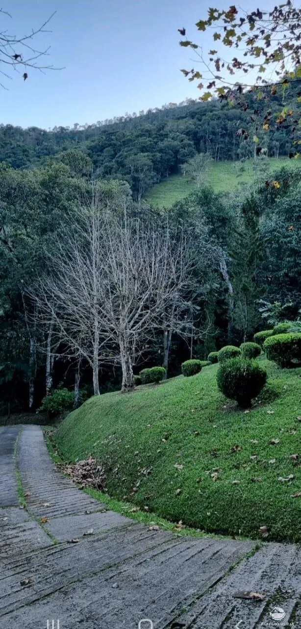 Small farm for sale of 5 acres in São José dos Campos, SP, Brazil