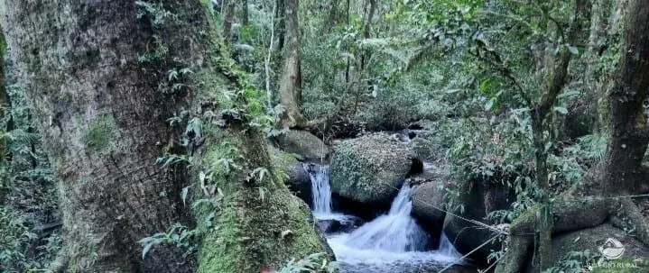 Small farm for sale of 5 acres in São José dos Campos, SP, Brazil