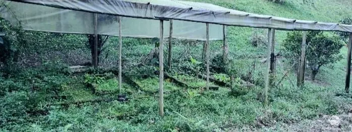 Small farm for sale of 5 acres in São José dos Campos, SP, Brazil