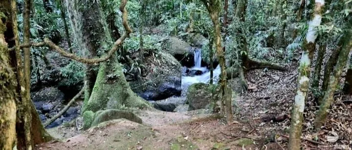 Small farm for sale of 5 acres in São José dos Campos, SP, Brazil