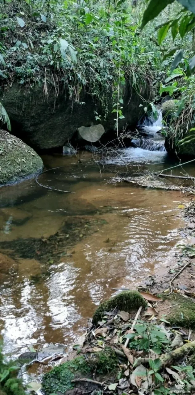 Small farm for sale of 5 acres in São José dos Campos, SP, Brazil