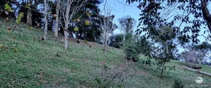Small farm for sale of 5 acres in São José dos Campos, SP, Brazil