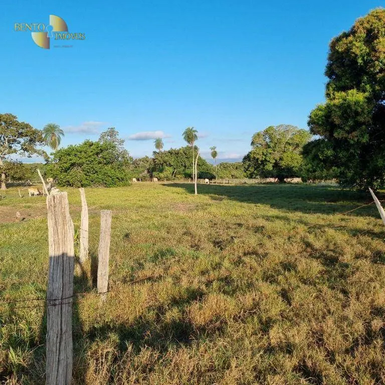 Fazenda à venda de 2.578 ha em Poconé, MT, Brasil