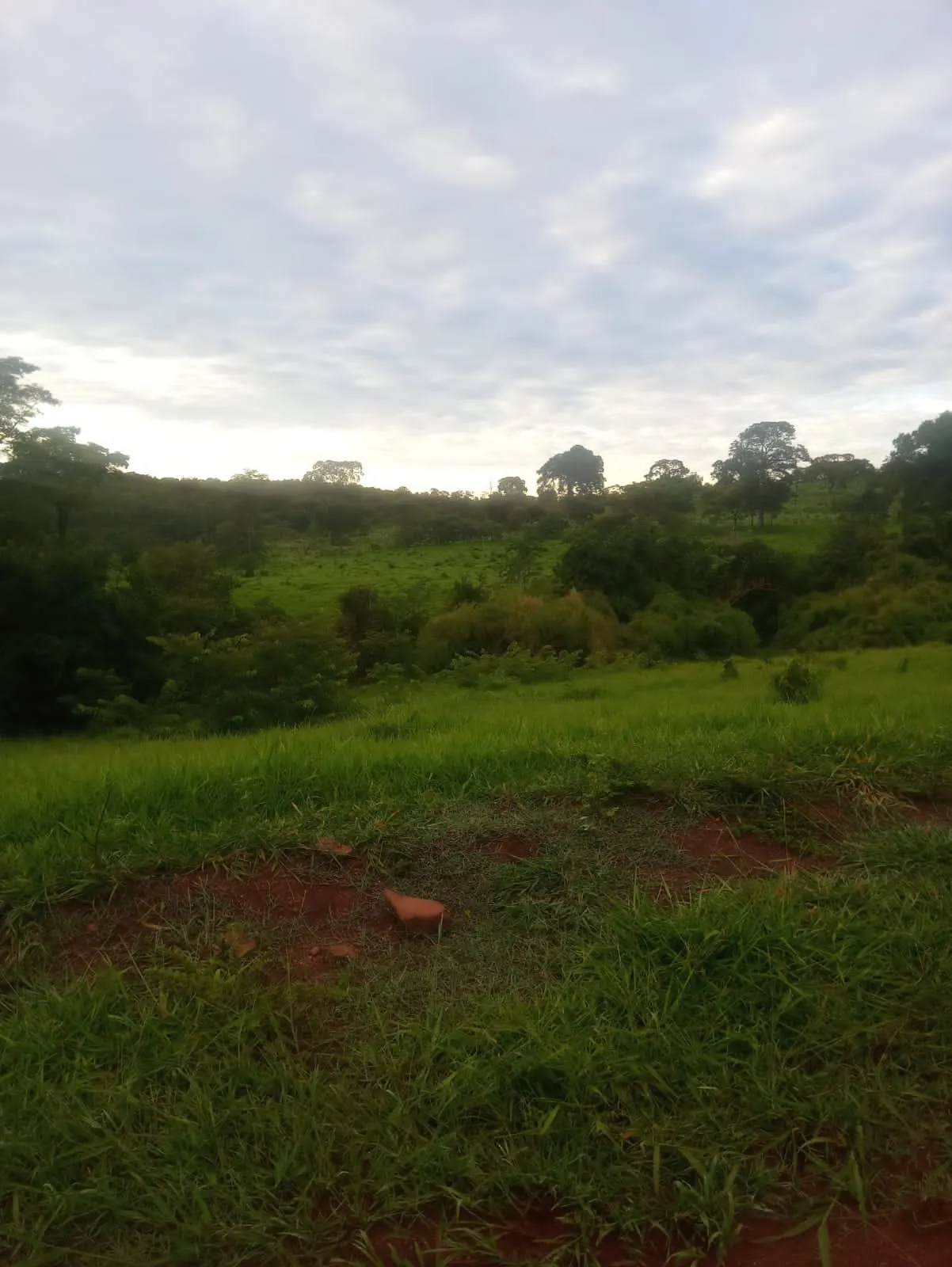 Fazenda à venda de 2.420 ha em Barro Alto, GO, Brasil