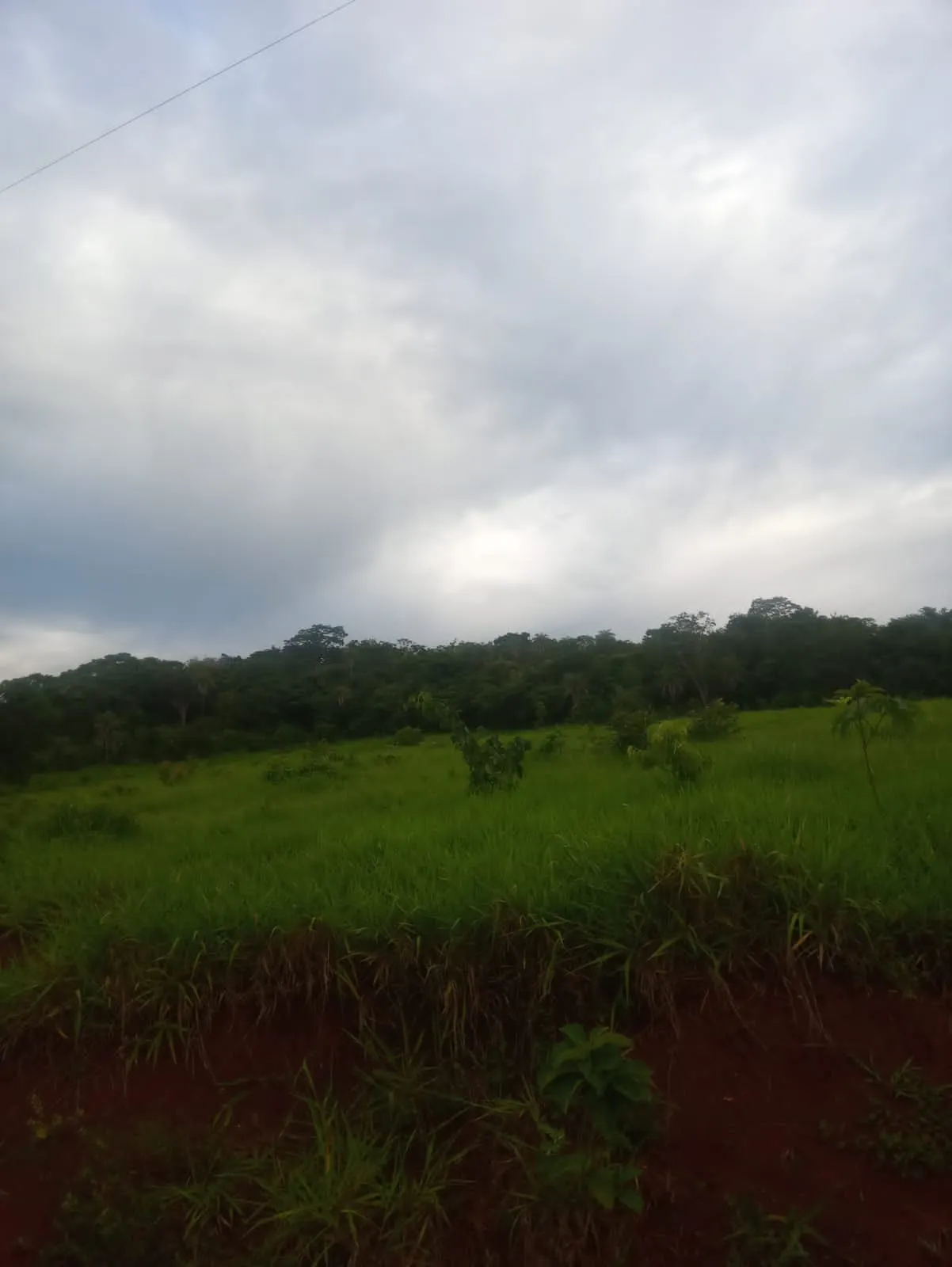 Fazenda à venda de 2.420 ha em Barro Alto, GO, Brasil