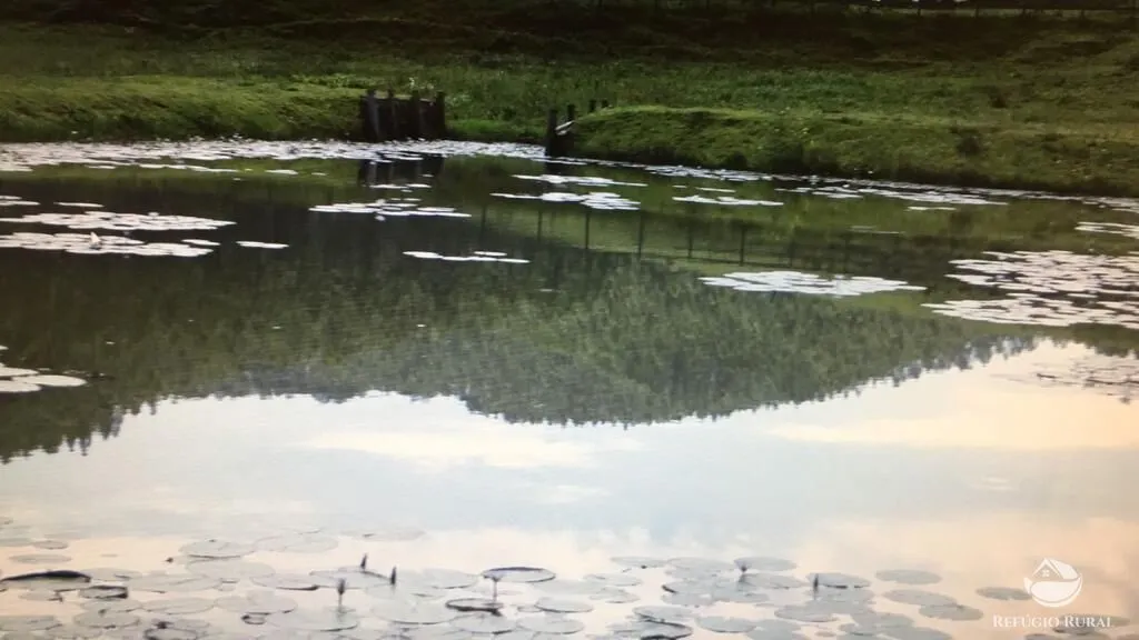 Fazenda à venda de 99 ha em Lagoinha, SP, Brasil