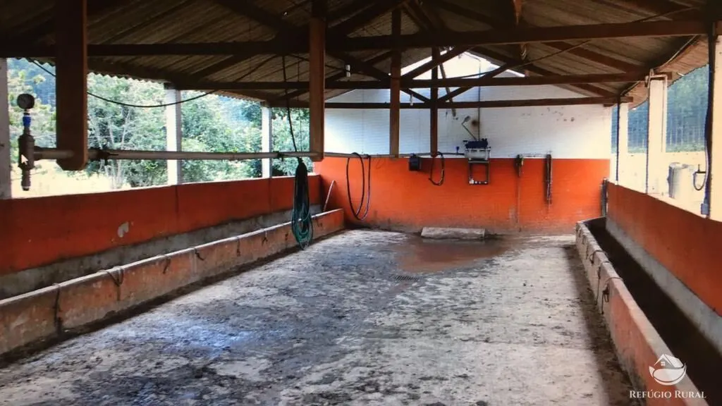 Fazenda à venda de 99 ha em Lagoinha, SP, Brasil