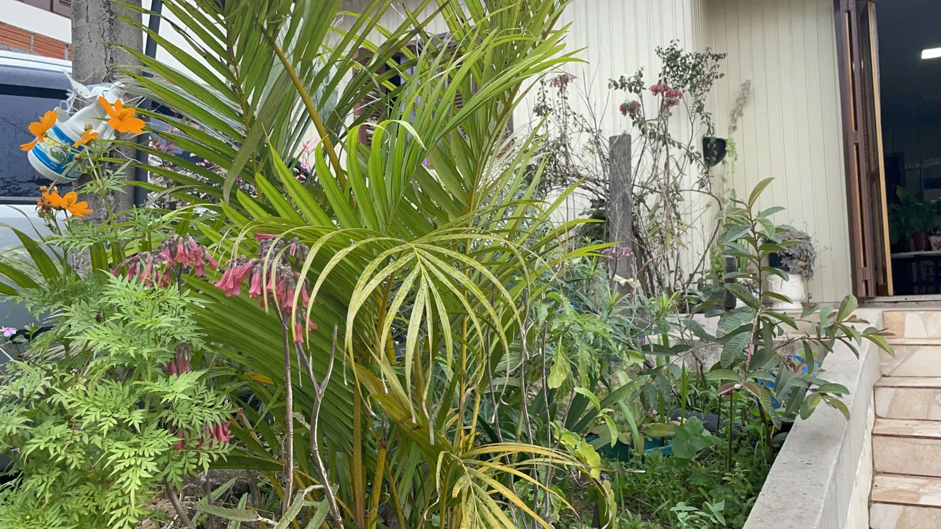 Plot for sale of 800 m² in Santo Antônio da Patrulha, RS, Brazil