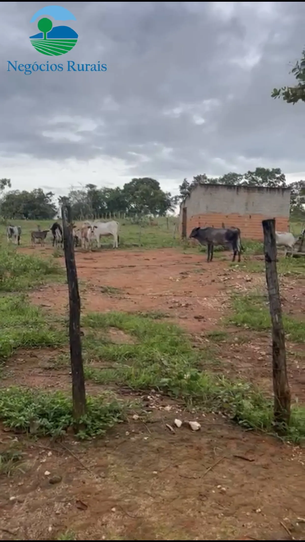 Sítio à venda de 16 ha em Uruaçu, GO, Brasil