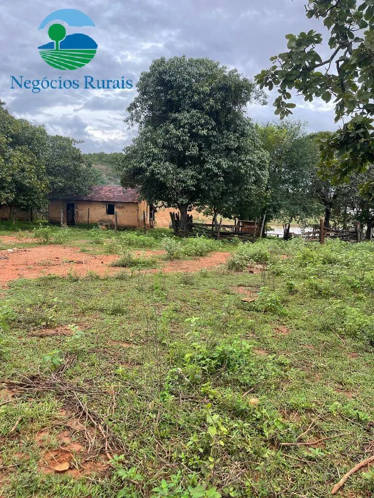 Sítio à venda de 16 ha em Uruaçu, GO, Brasil