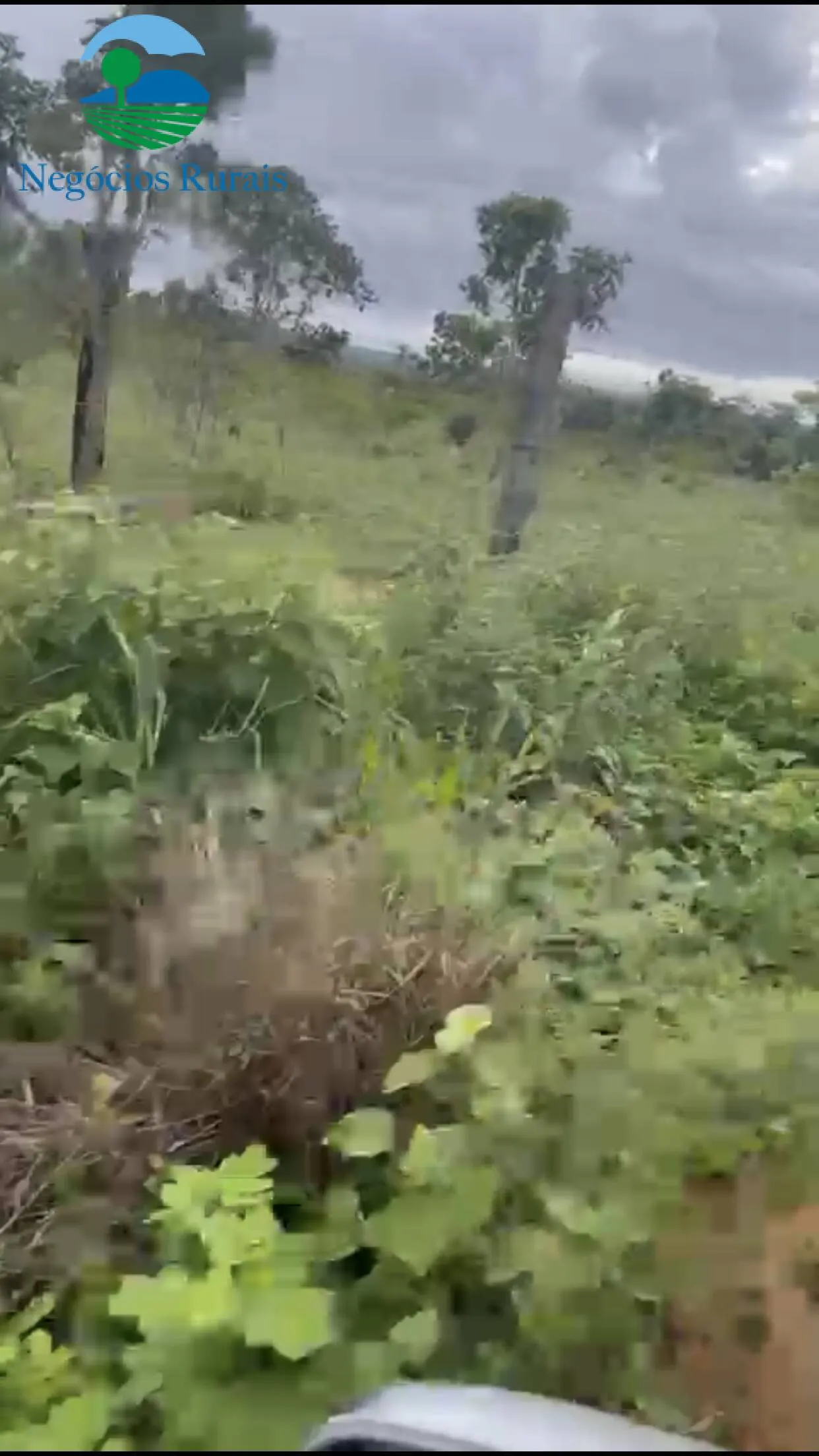 Sítio à venda de 16 ha em Uruaçu, GO, Brasil