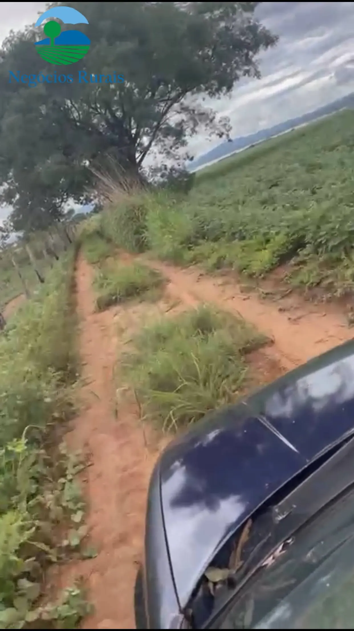 Sítio à venda de 16 ha em Uruaçu, GO, Brasil