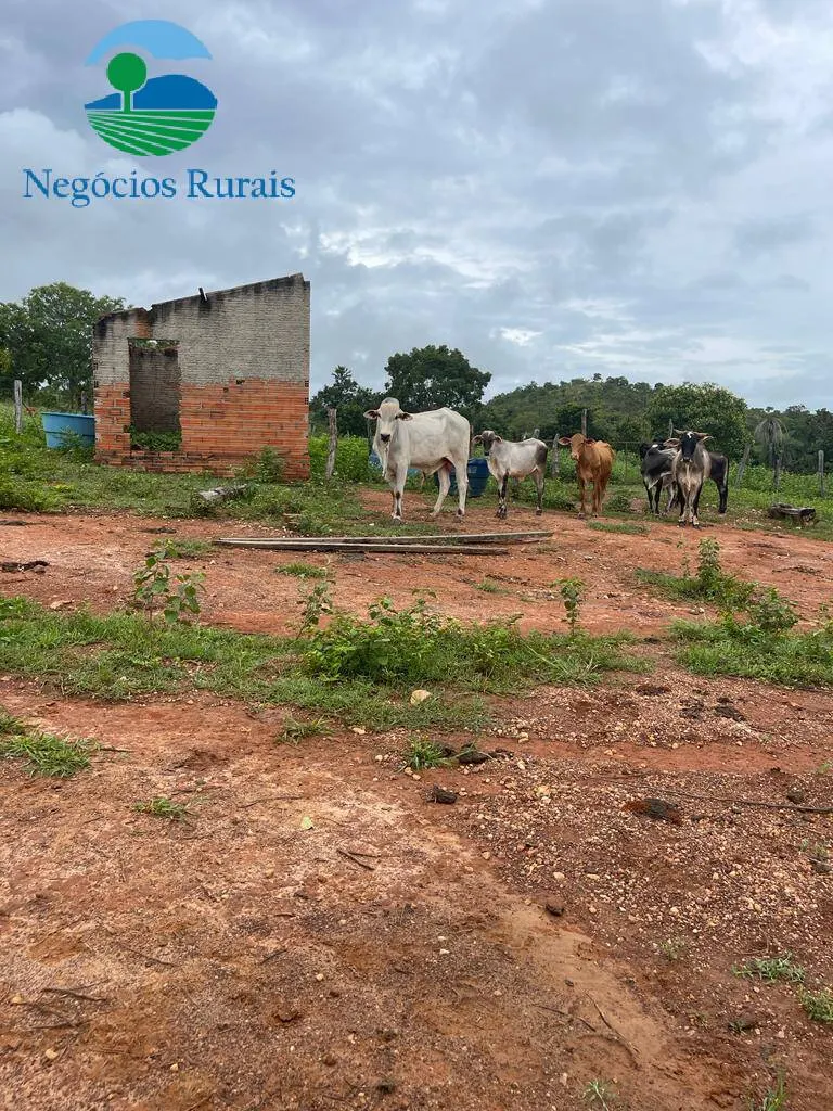 Sítio à venda de 16 ha em Uruaçu, GO, Brasil