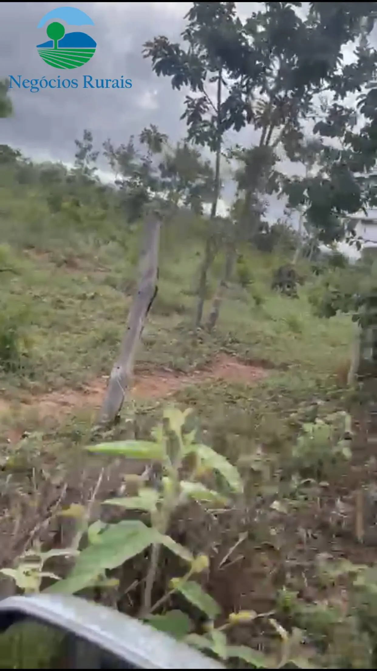 Sítio à venda de 16 ha em Uruaçu, GO, Brasil
