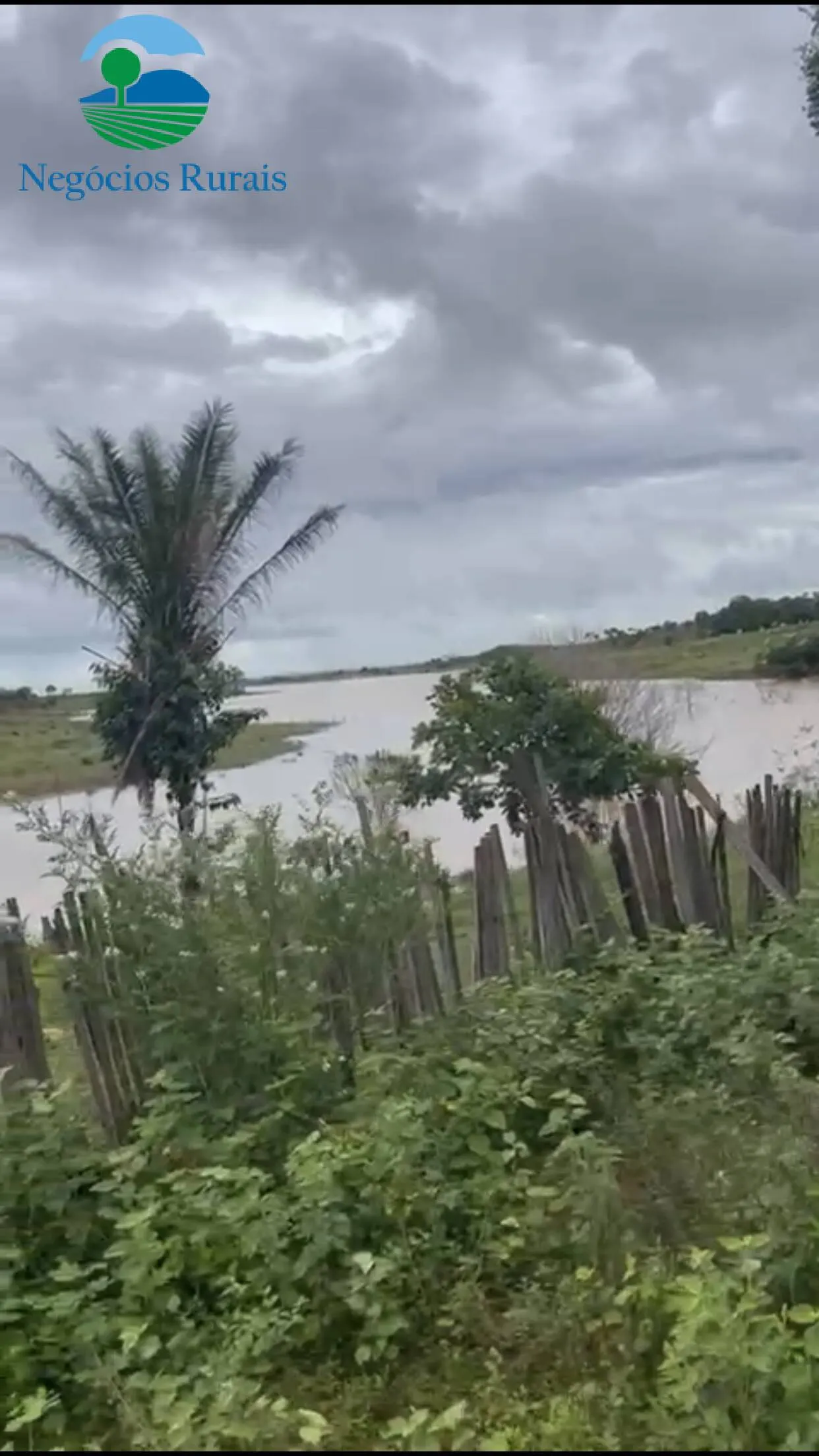 Sítio à venda de 16 ha em Uruaçu, GO, Brasil