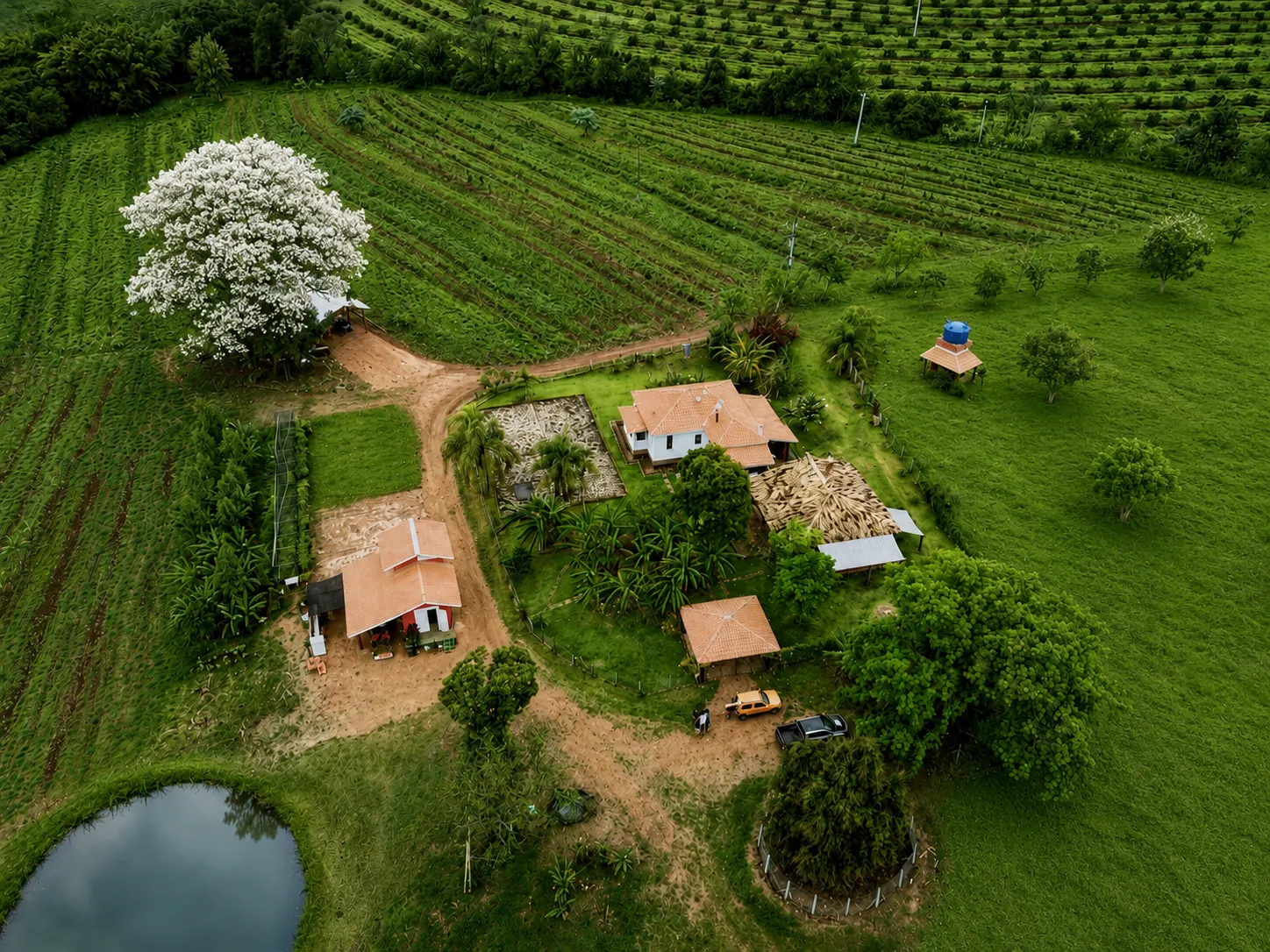 Sítio à venda de 30 ha em Timburi, SP, Brasil