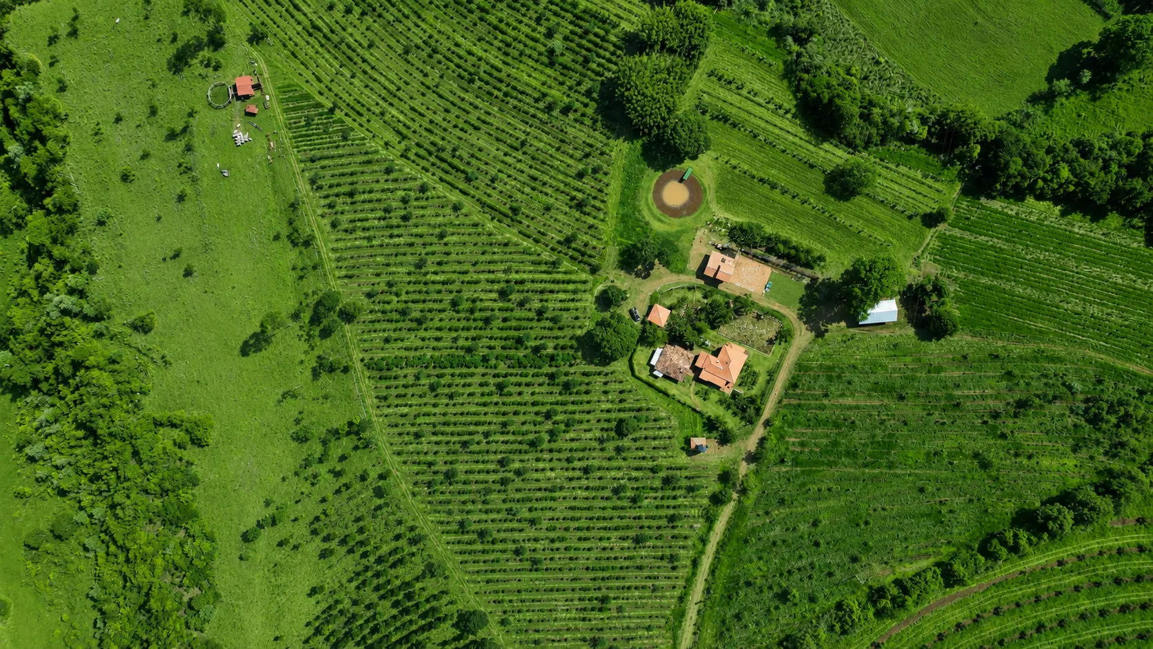 Sítio à venda de 30 ha em Timburi, SP, Brasil