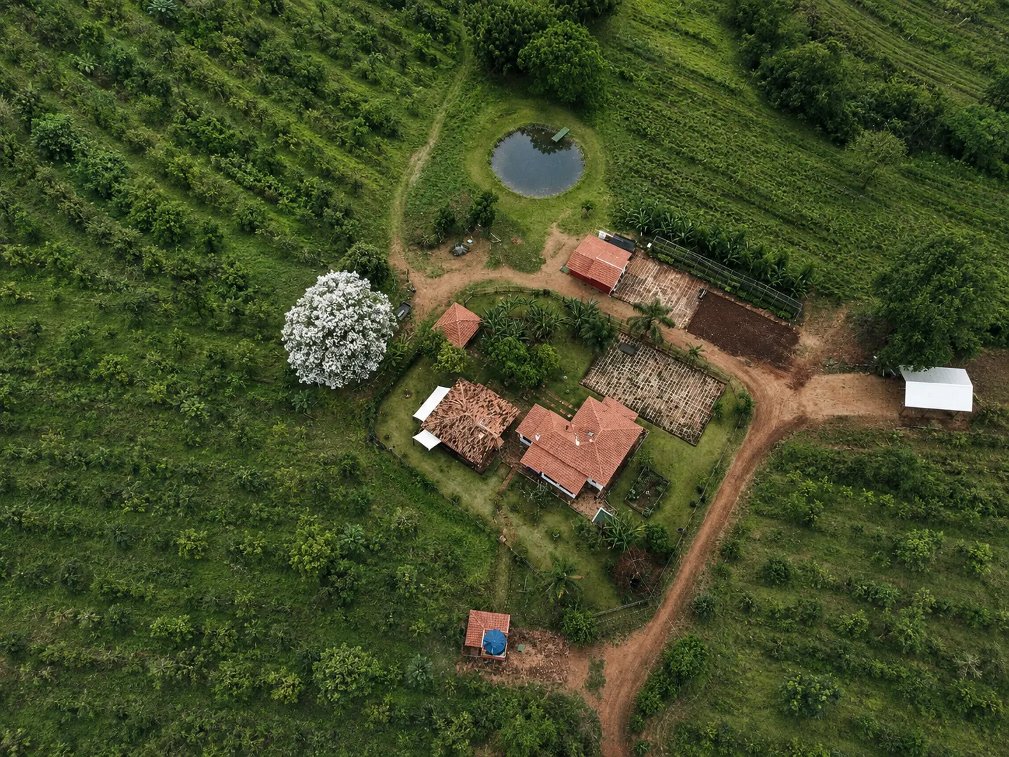 Sítio à venda de 30 ha em Timburi, SP, Brasil