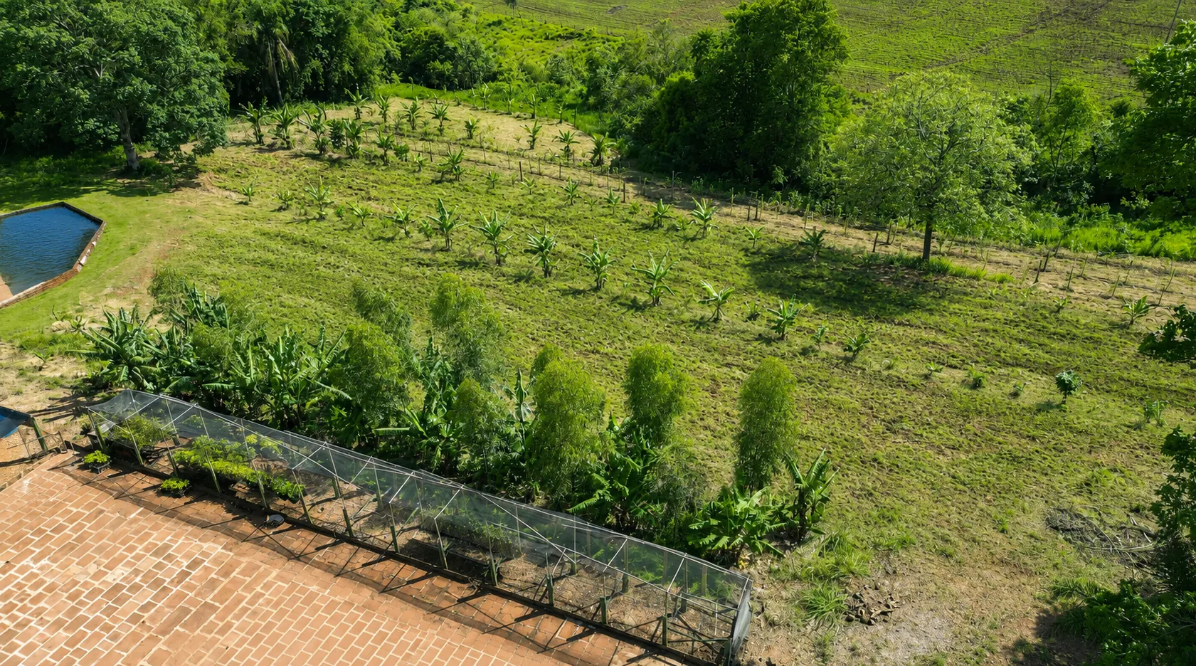 Sítio à venda de 30 ha em Timburi, SP, Brasil