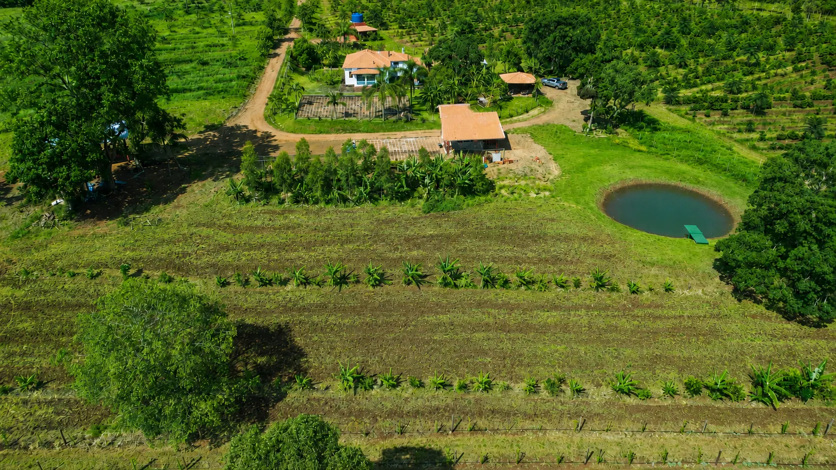 Sítio à venda de 30 ha em Timburi, SP, Brasil