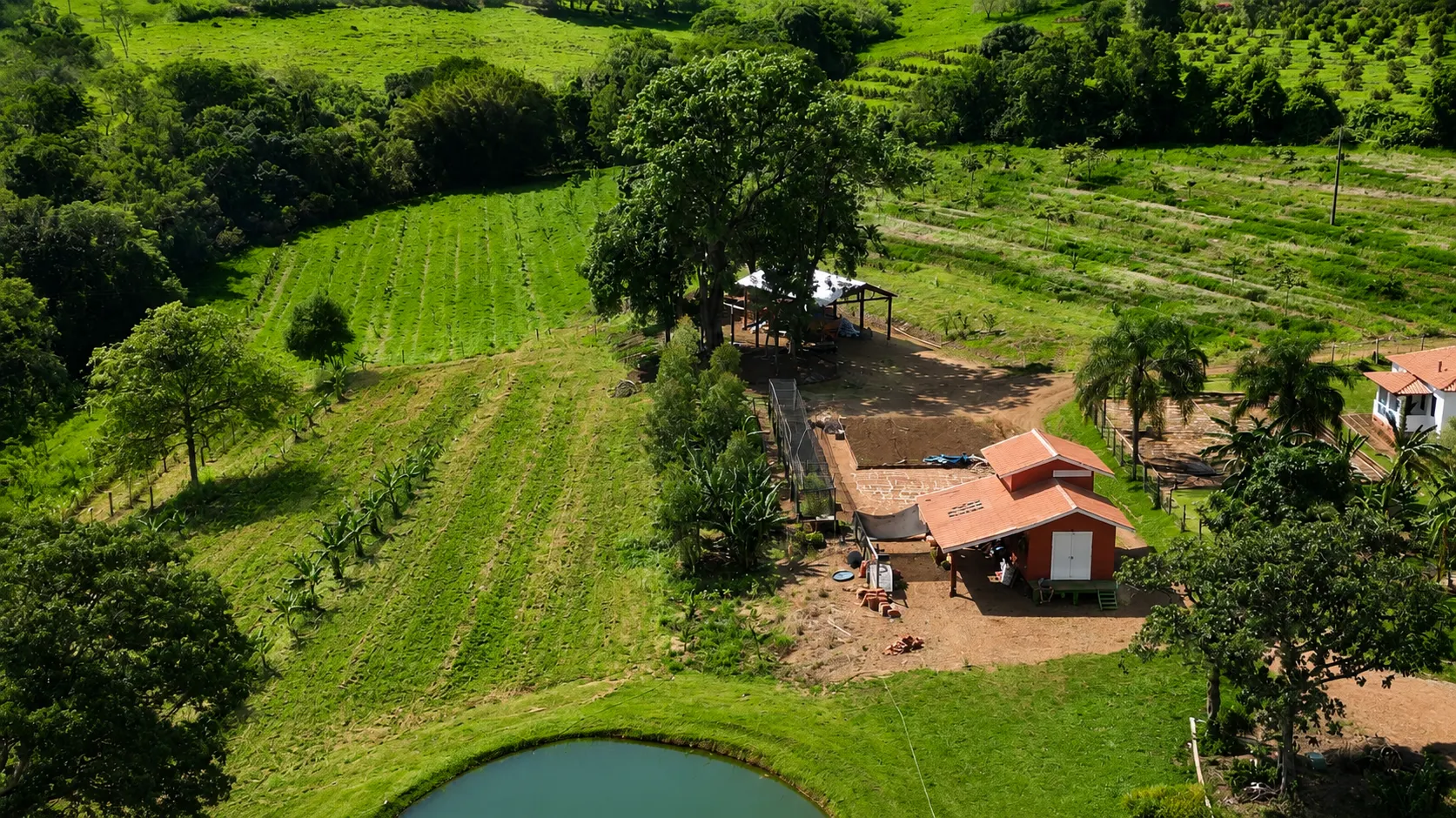 Sítio à venda de 30 ha em Timburi, SP, Brasil