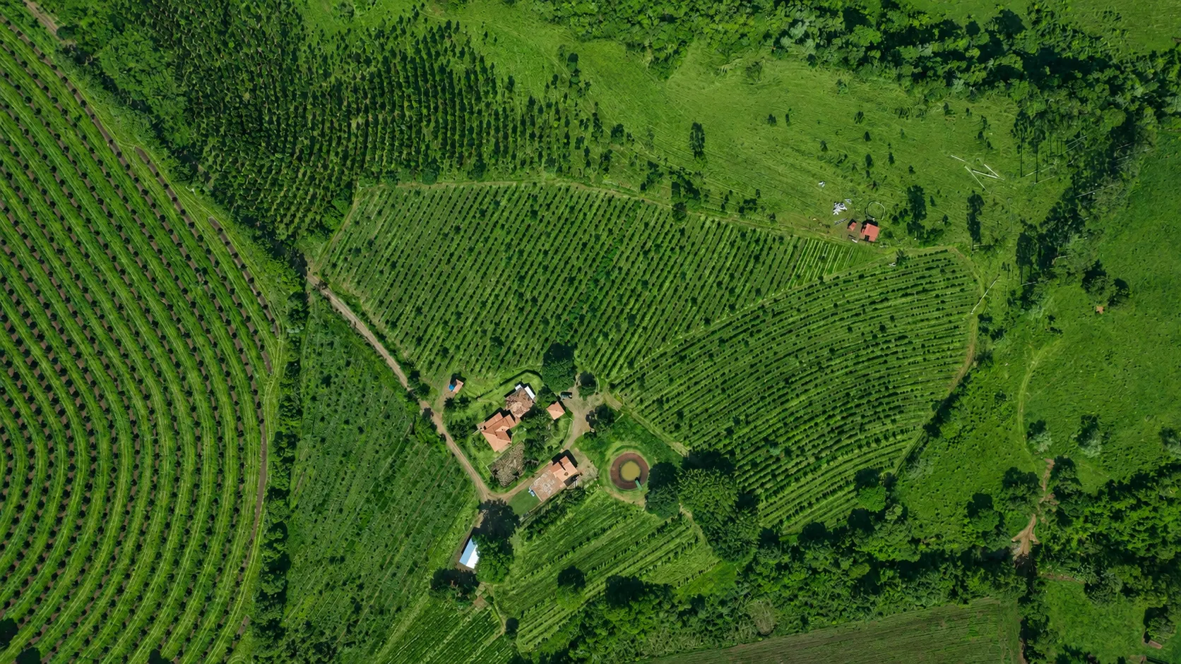 Sítio à venda de 30 ha em Timburi, SP, Brasil