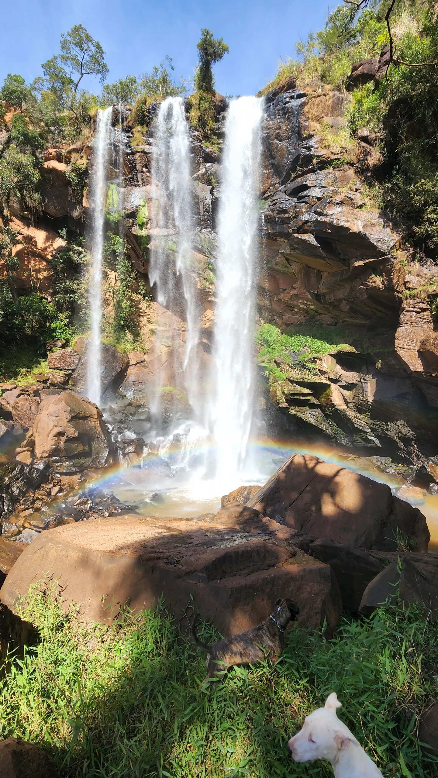 Sítio à venda de 30 ha em Timburi, SP, Brasil
