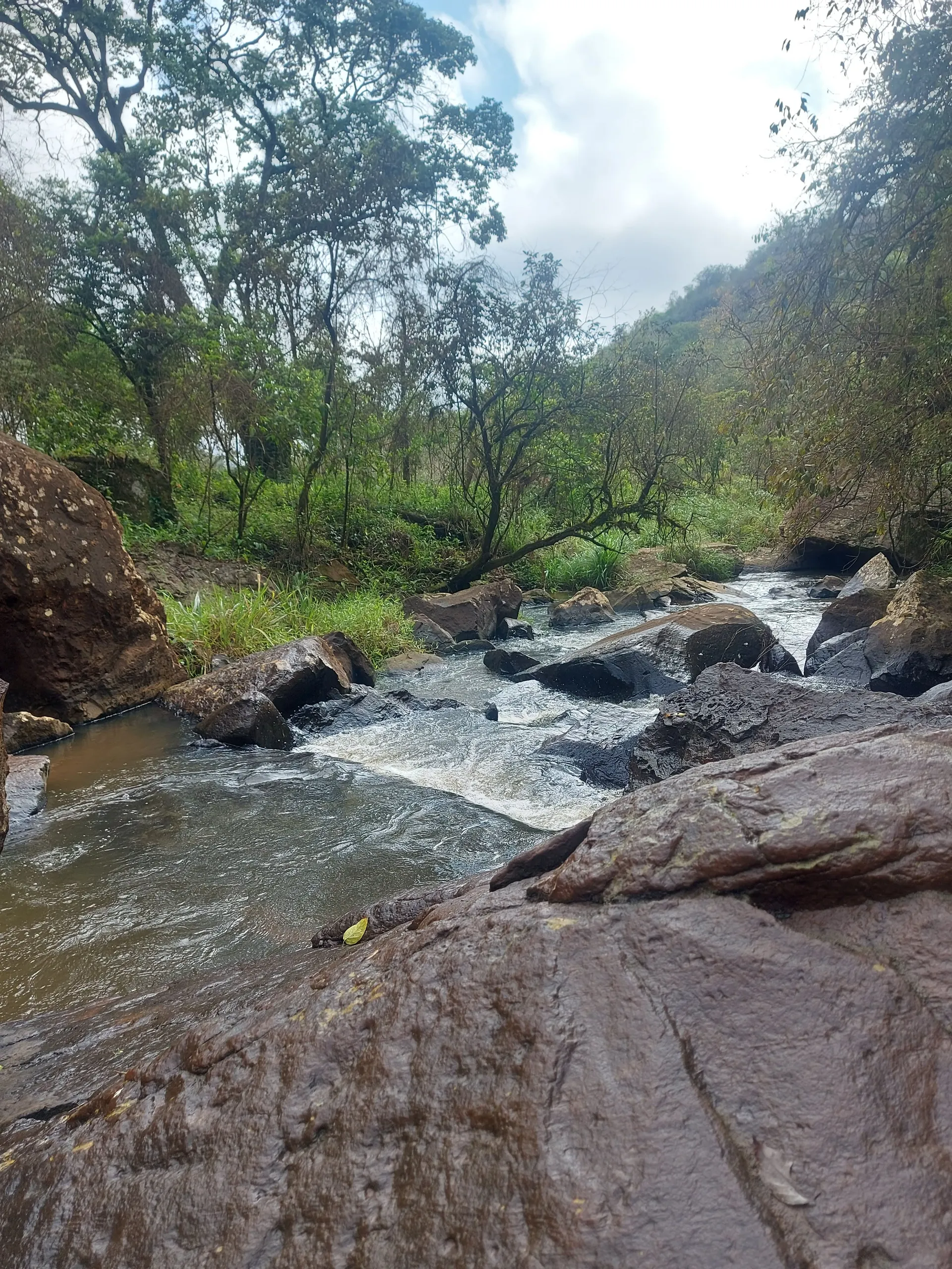 Sítio à venda de 30 ha em Timburi, SP, Brasil