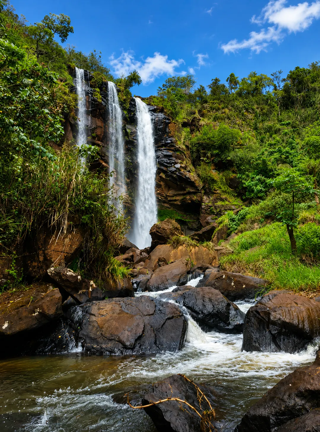 Sítio à venda de 30 ha em Timburi, SP, Brasil