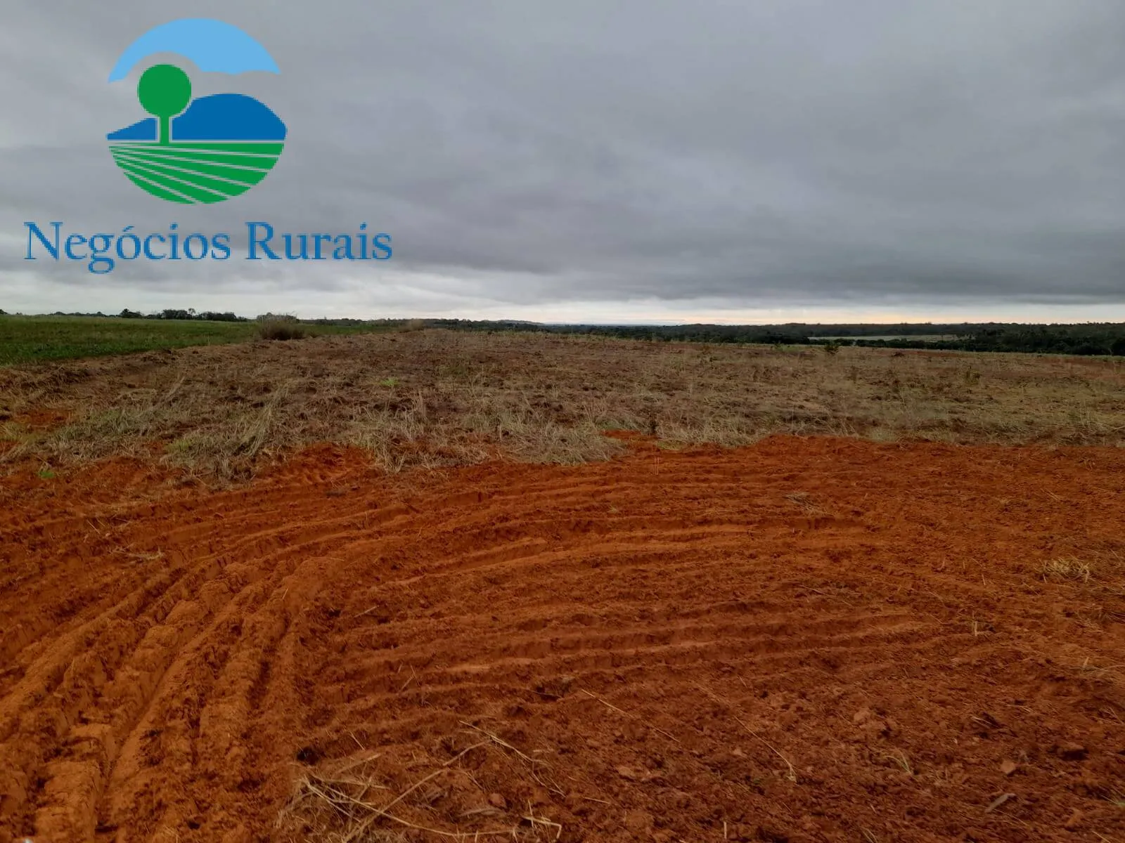 Fazenda à venda de 1.665 ha em Palmeirante, TO, Brasil