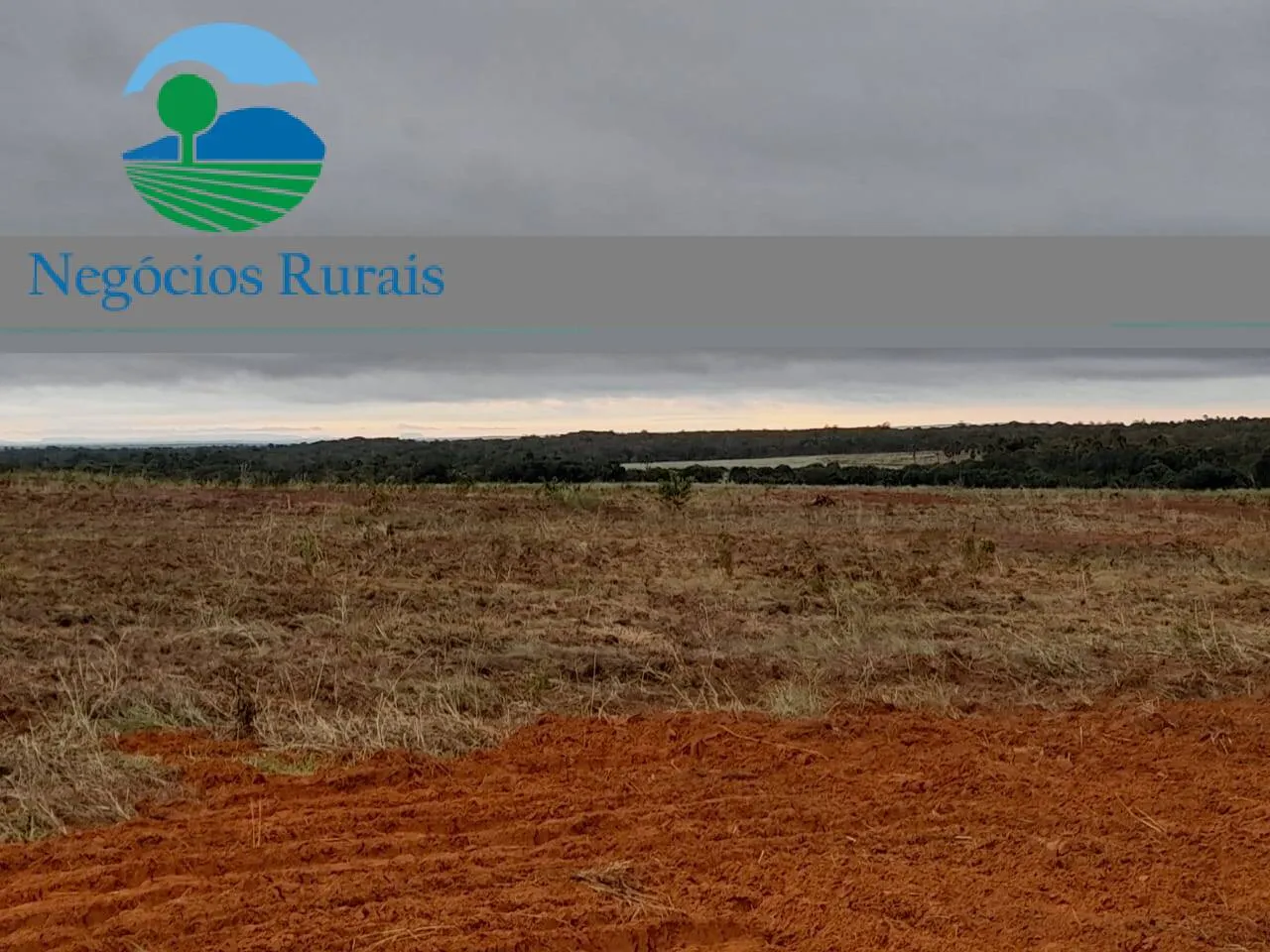 Fazenda à venda de 1.665 ha em Palmeirante, TO, Brasil