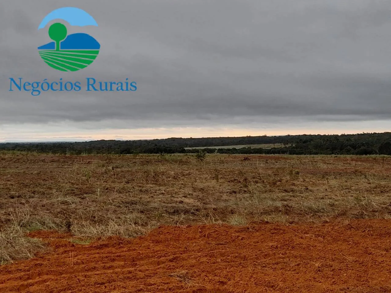 Fazenda à venda de 1.665 ha em Palmeirante, TO, Brasil