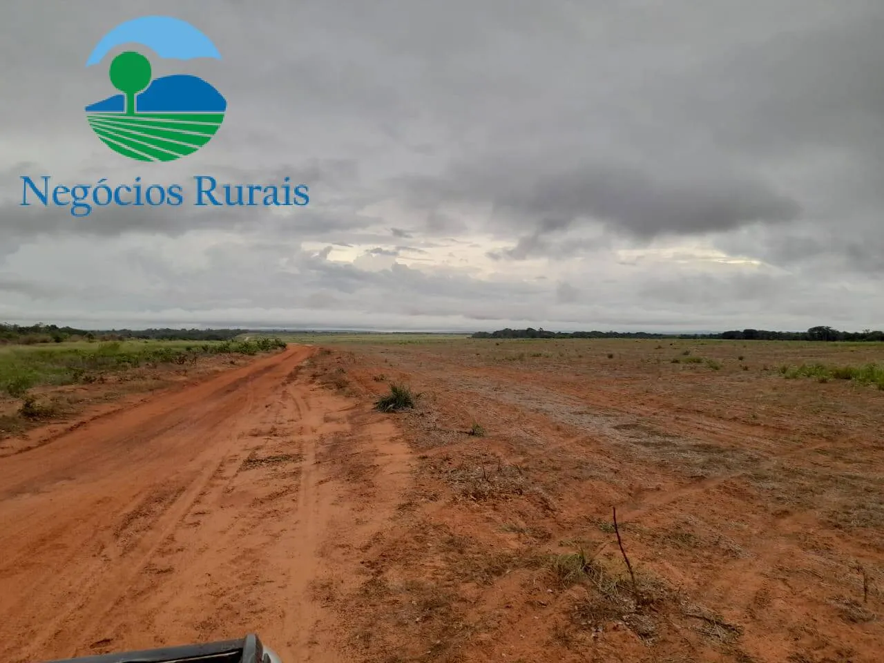Fazenda à venda de 1.665 ha em Palmeirante, TO, Brasil