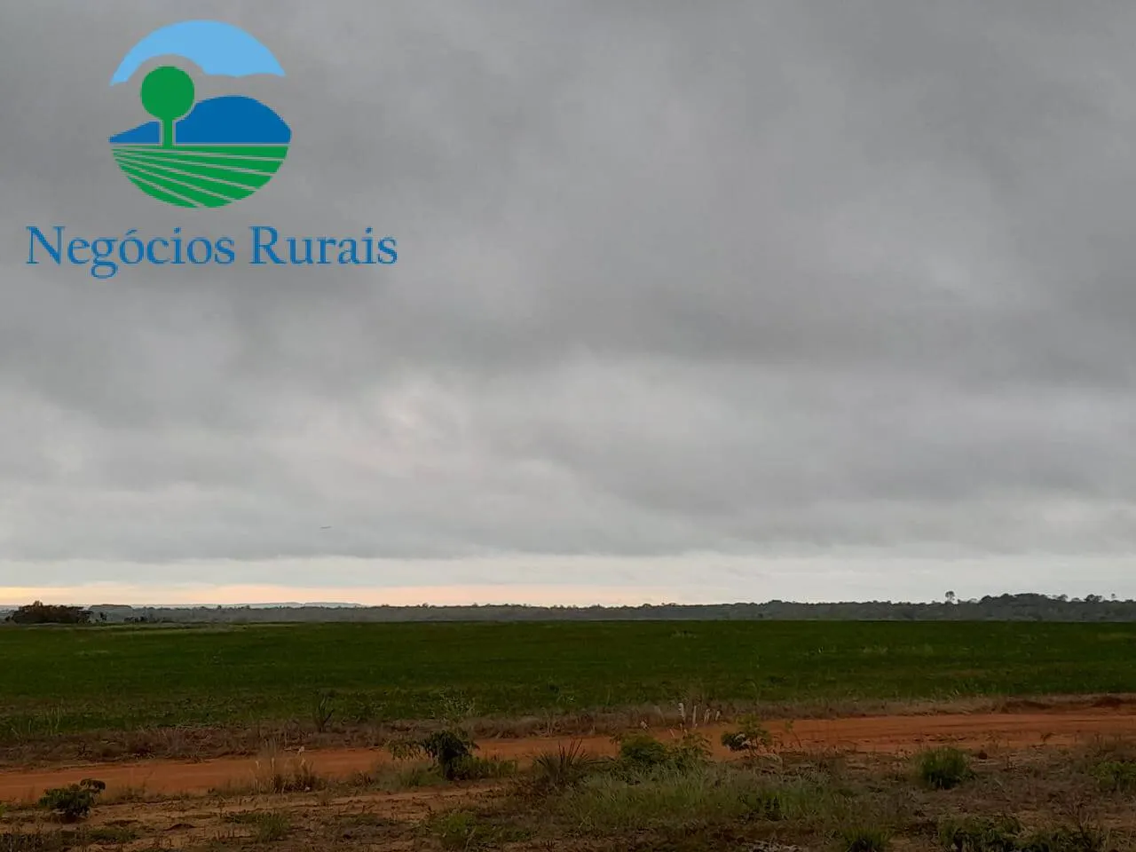 Fazenda à venda de 1.665 ha em Palmeirante, TO, Brasil