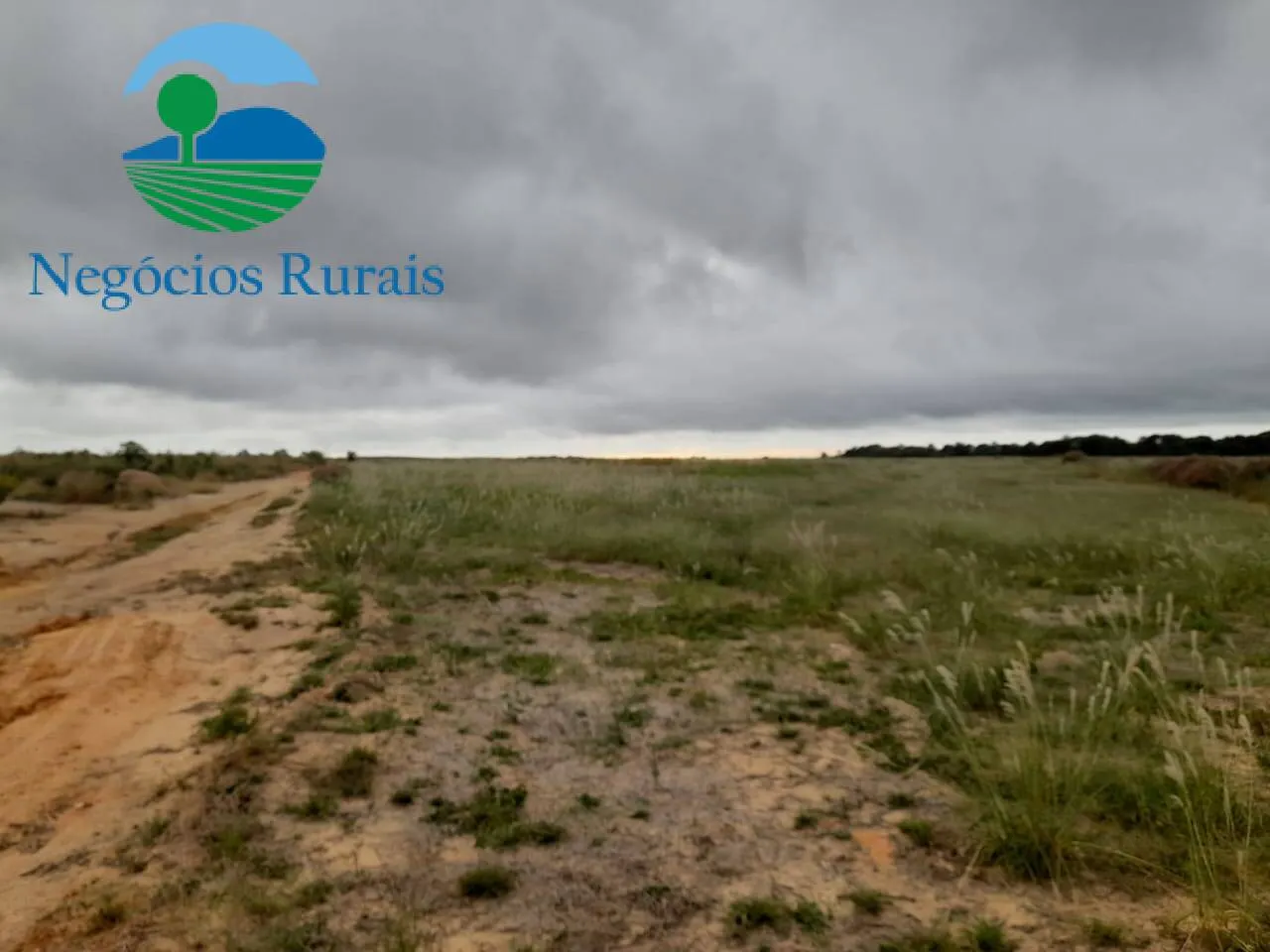 Fazenda à venda de 1.665 ha em Palmeirante, TO, Brasil