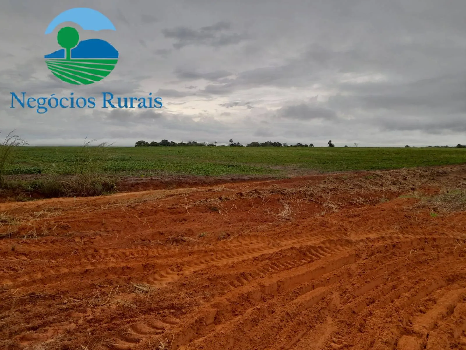Fazenda à venda de 1.665 ha em Palmeirante, TO, Brasil