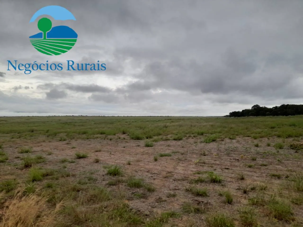 Fazenda à venda de 1.665 ha em Palmeirante, TO, Brasil