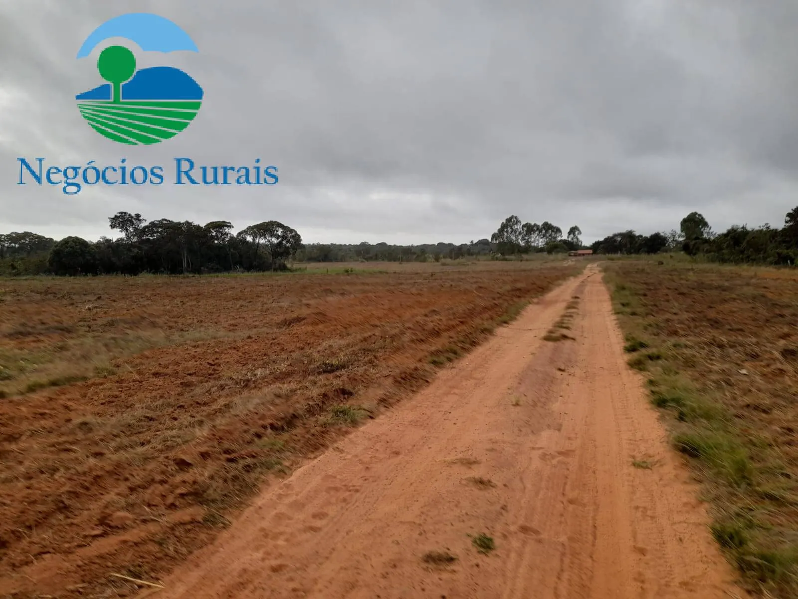 Fazenda à venda de 1.665 ha em Palmeirante, TO, Brasil