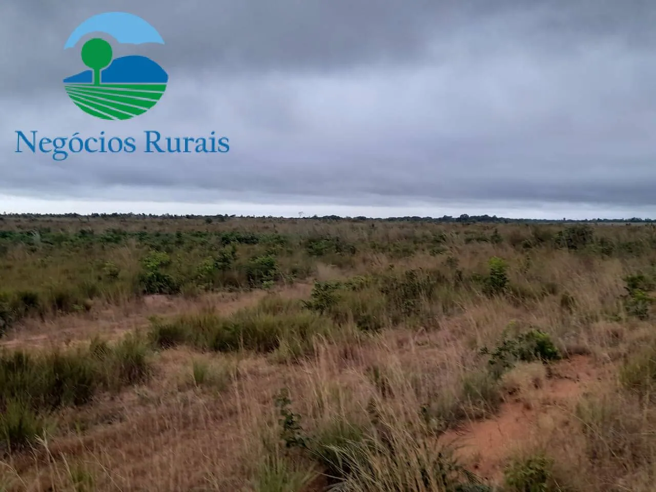Fazenda à venda de 1.665 ha em Palmeirante, TO, Brasil