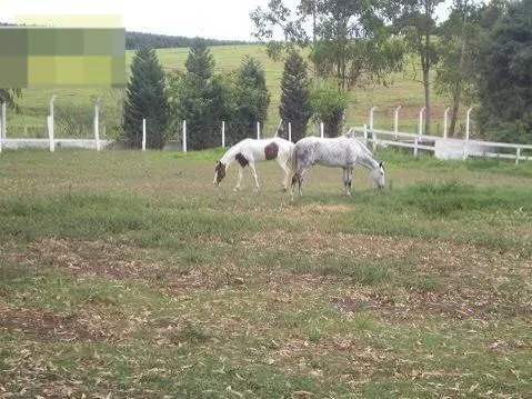 Sítio à venda de 8 ha em Salto de Pirapora, SP, Brasil