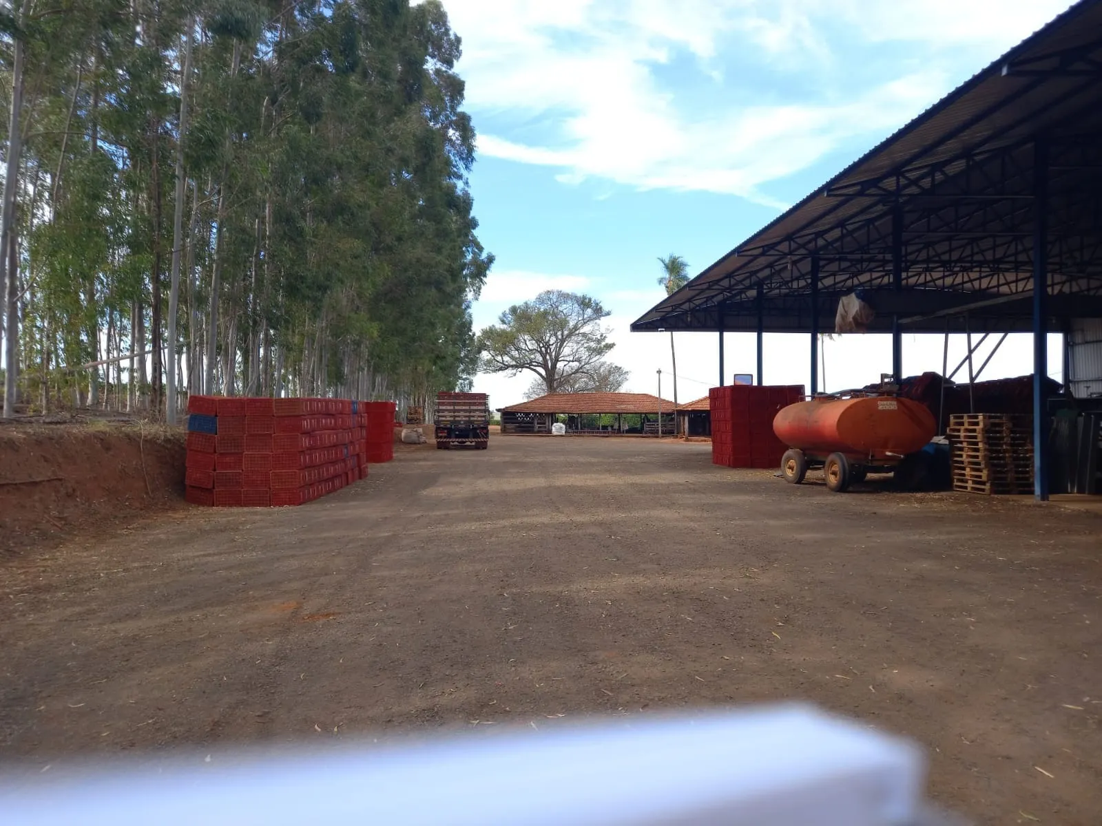 Fazenda à venda de 122 ha em São José do Rio Preto, SP, Brasil