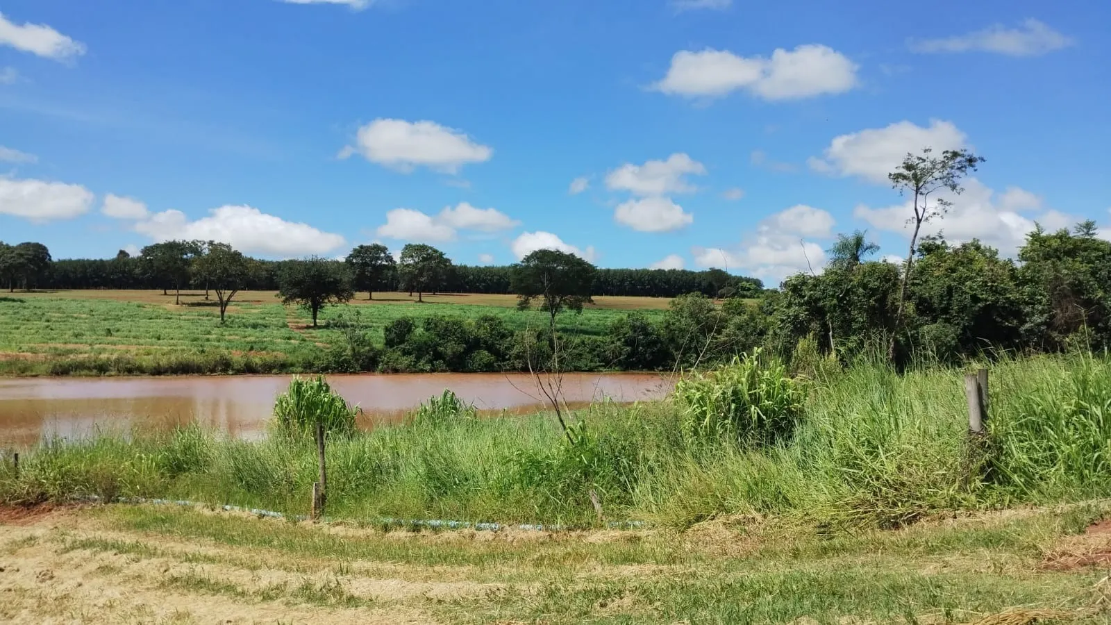 Fazenda à venda de 122 ha em São José do Rio Preto, SP, Brasil