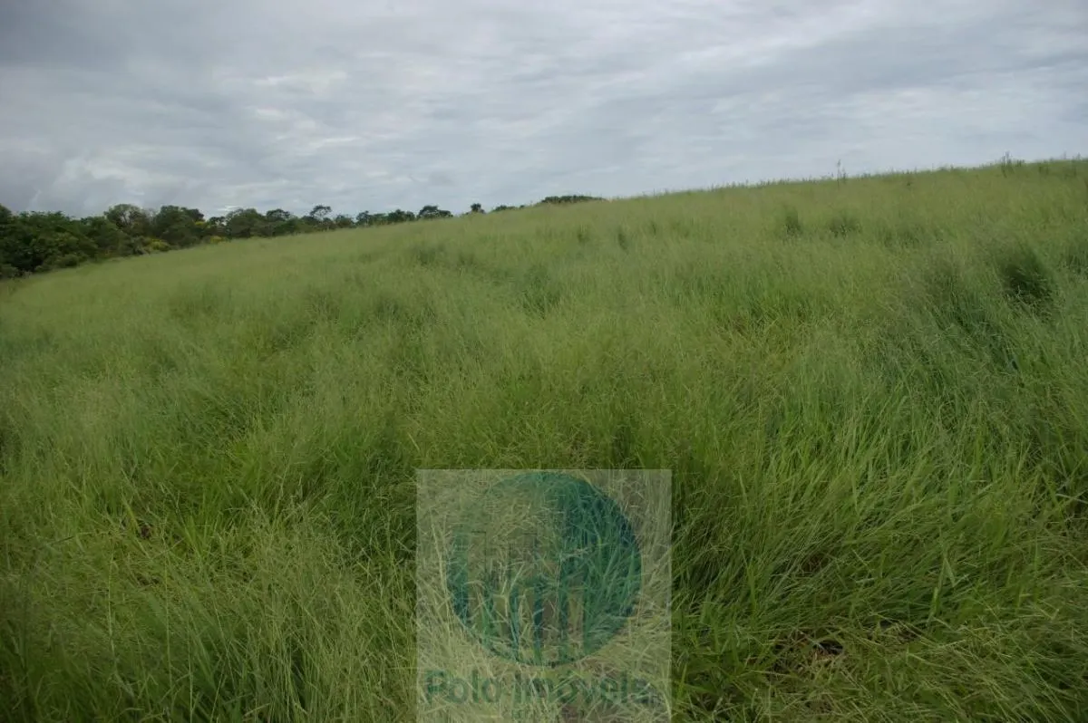 Fazenda à venda de 72 ha em Cajuru, SP, Brasil