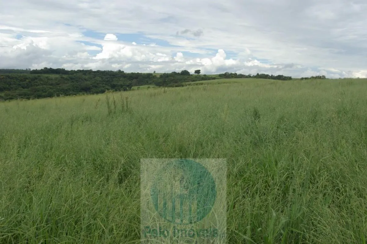 Fazenda à venda de 72 ha em Cajuru, SP, Brasil
