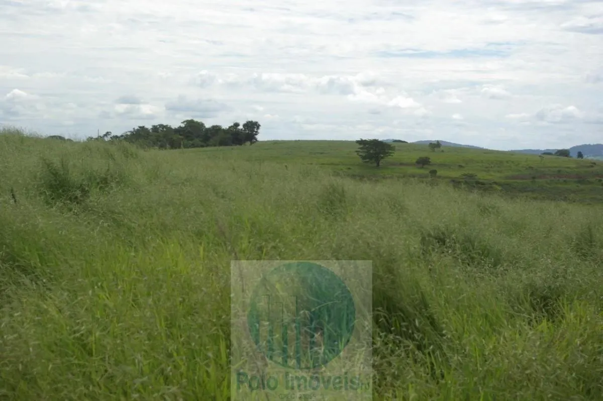 Fazenda à venda de 72 ha em Cajuru, SP, Brasil