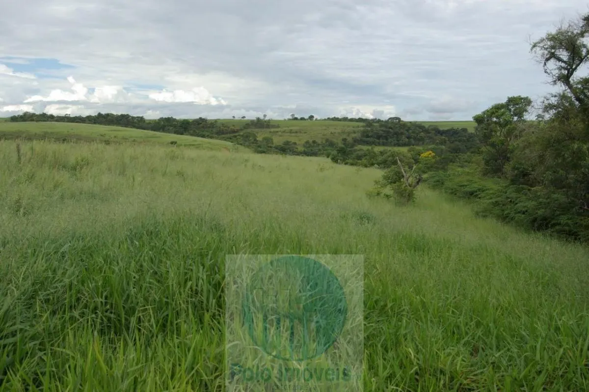 Fazenda à venda de 72 ha em Cajuru, SP, Brasil