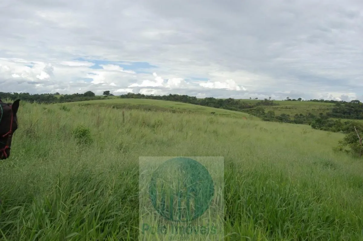 Fazenda à venda de 72 ha em Cajuru, SP, Brasil