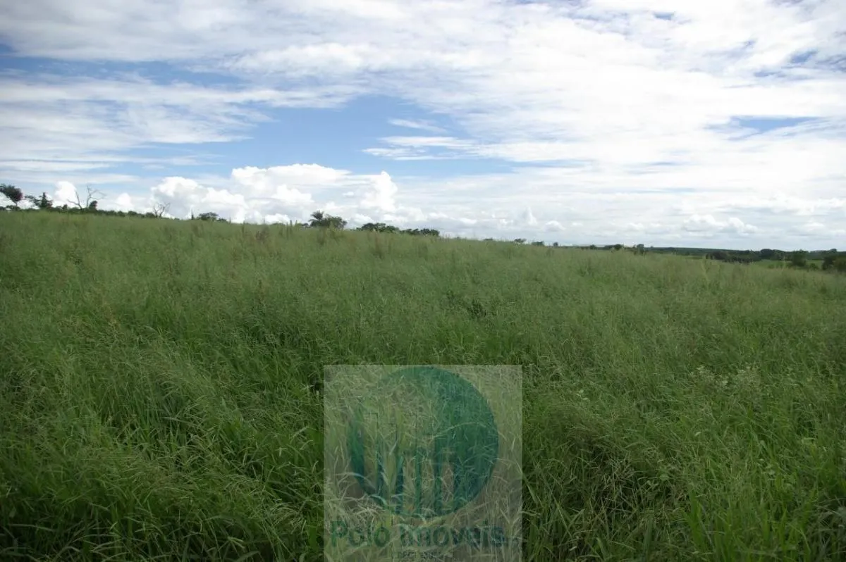 Fazenda à venda de 72 ha em Cajuru, SP, Brasil