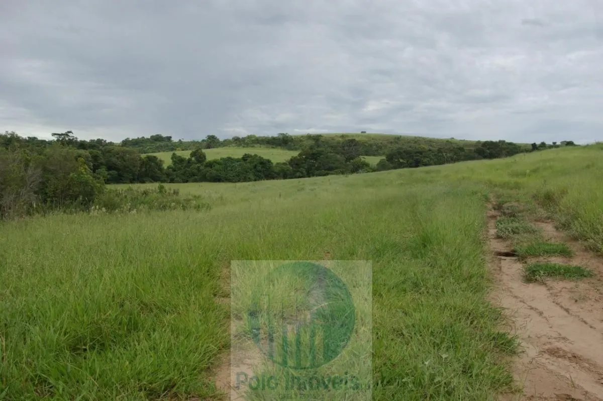 Fazenda à venda de 72 ha em Cajuru, SP, Brasil