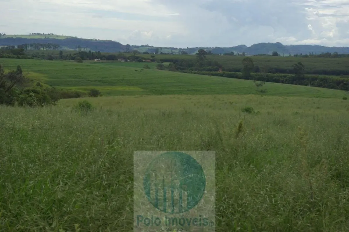 Fazenda à venda de 72 ha em Cajuru, SP, Brasil